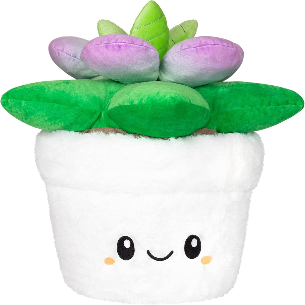 Squishable Succulent