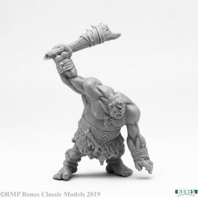 Hill Giant Lowland Warrior product image