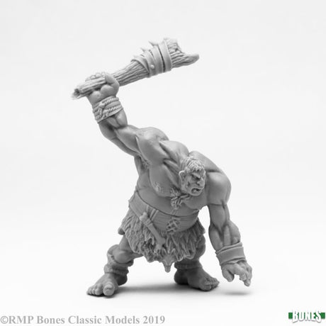 Hill Giant Lowland Warrior product image
