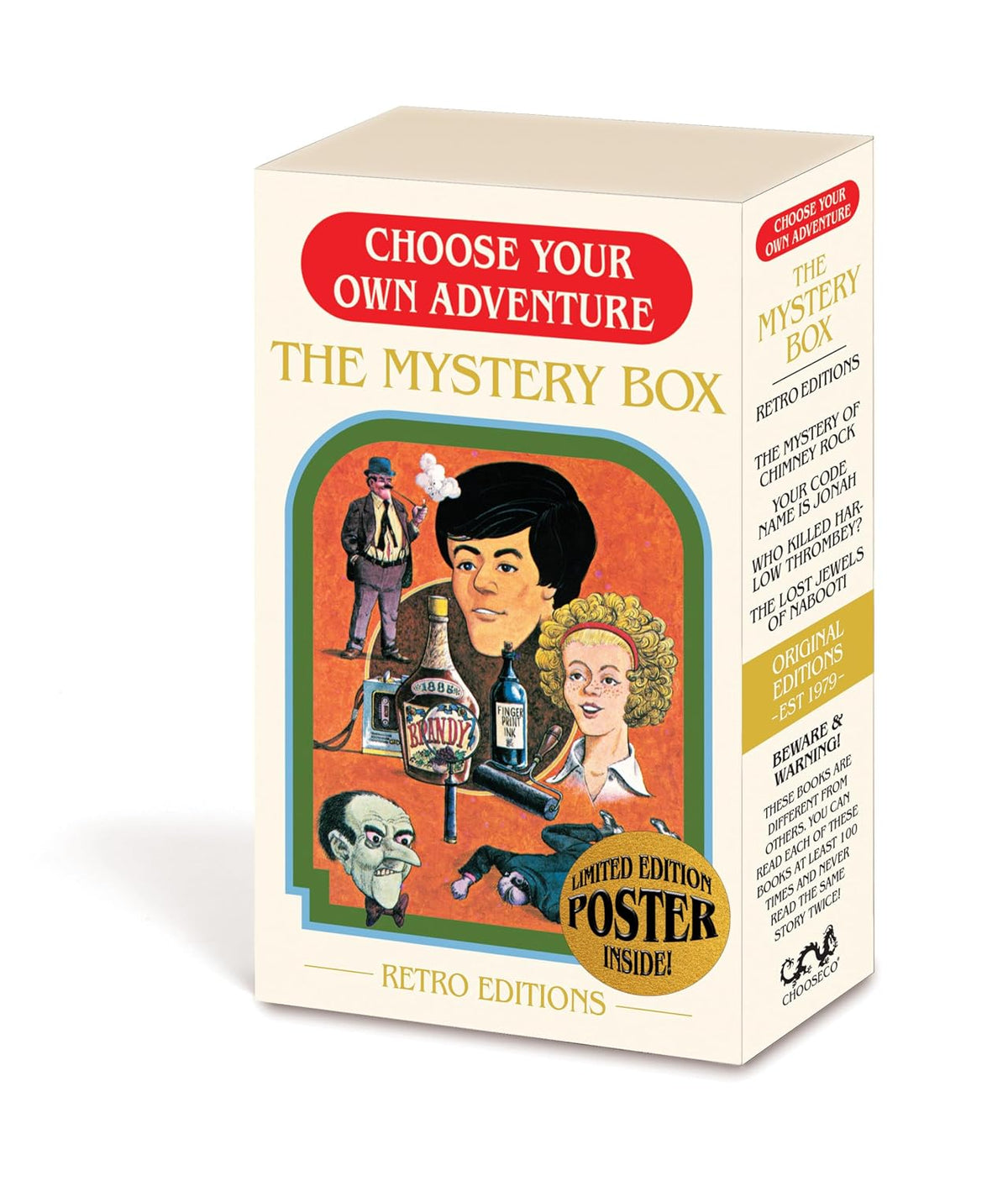 Choose Your Own Adventure: The Mystery Box