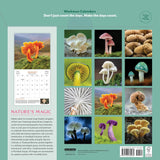 2027 World of Mushrooms Calend