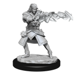 Nolzur's Marvelous Miniatures: Elf Wizard Male