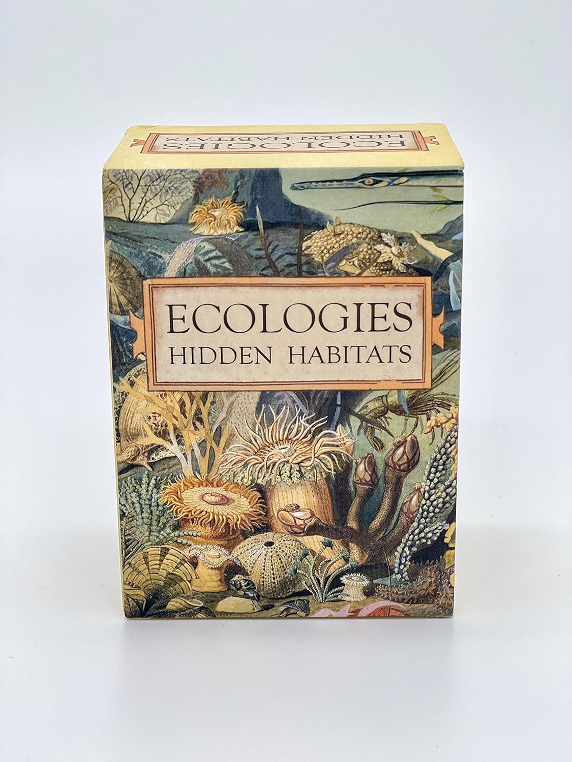 Ecologies: Hidden Habitats
