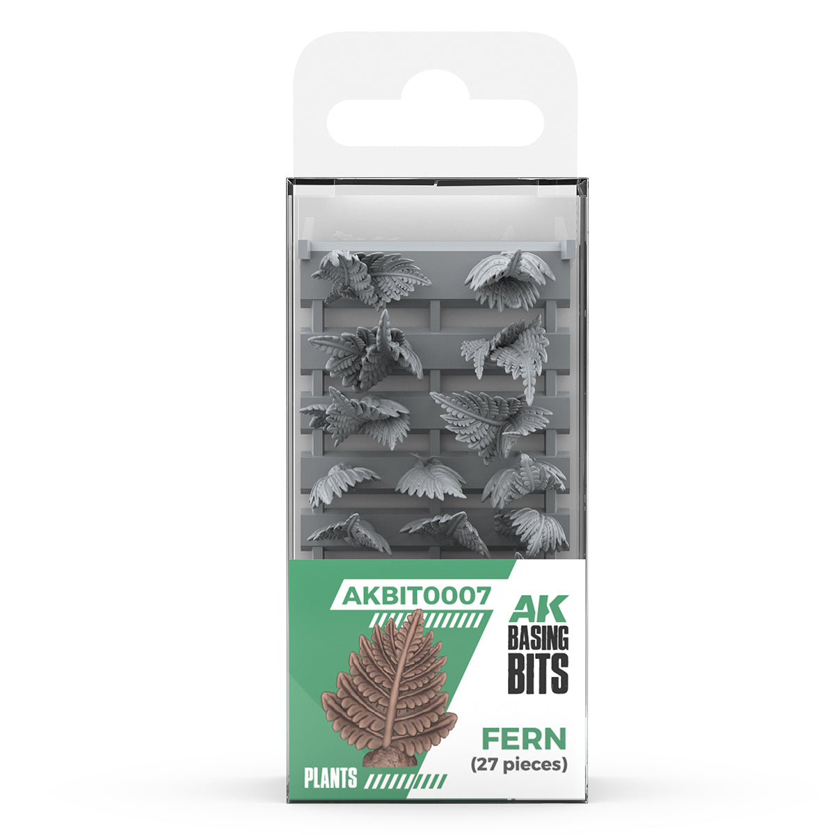 Fern