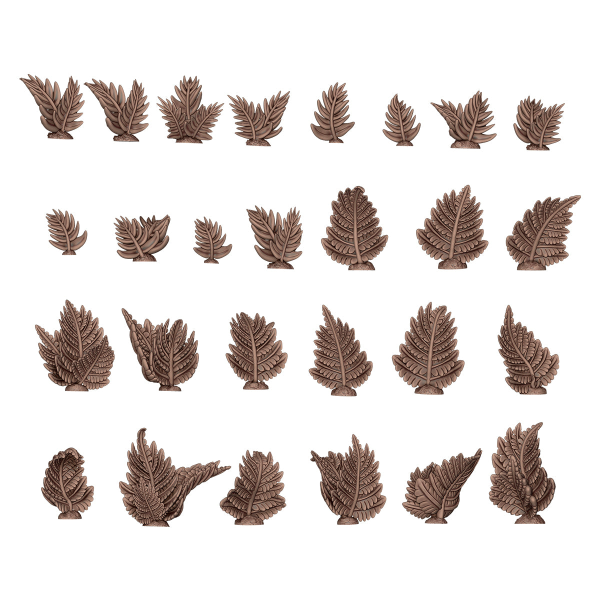 Fern