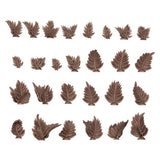 Fern