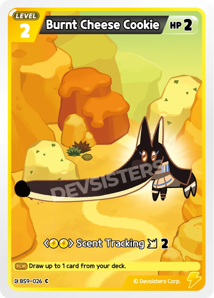 Burnt Cheese Cookie (2)