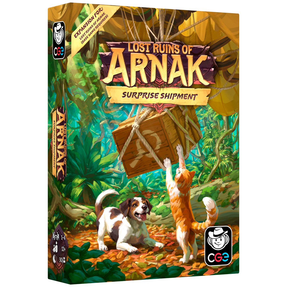 Lost Ruins of Arnak: Surprise