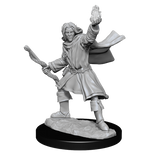 Pathfinder Deep Cuts Miniatures: Elf Sorcerer Male