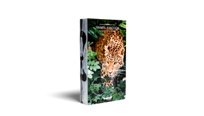 Earth: Animal Kingdom product image