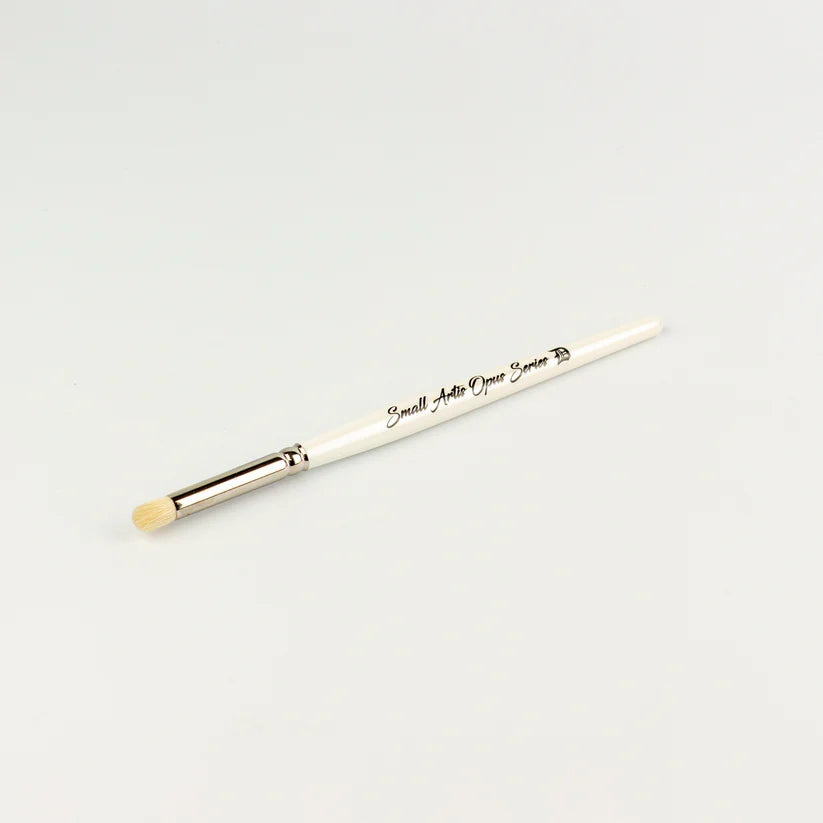 Series D S DryBrush