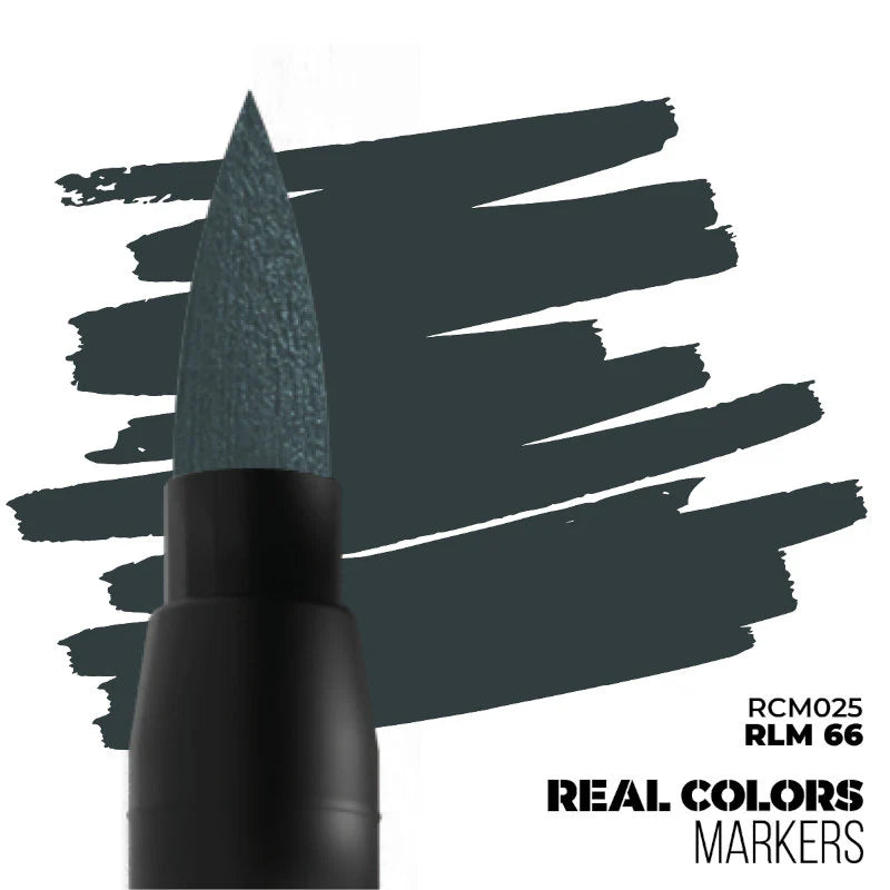 RCM RLM 66