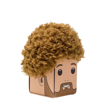 Bob Ross Headcase: Alcove Flip