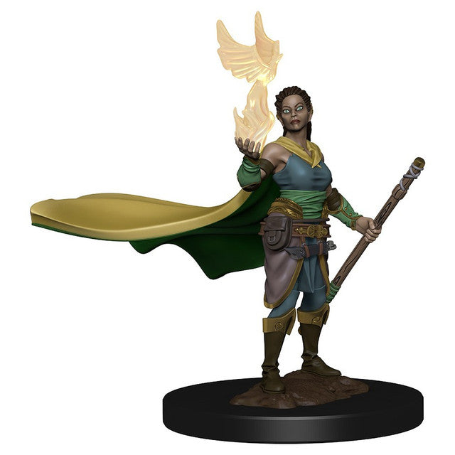 Premium Elf Druid Male