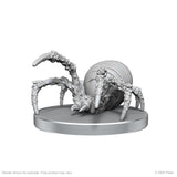 Cave Scorpion & Hunting Spider