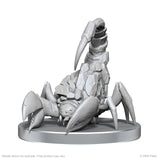Cave Scorpion & Hunting Spider