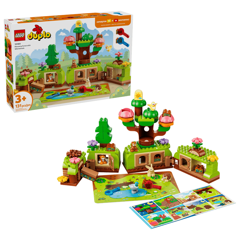 Discovery Forest with Wild Animals