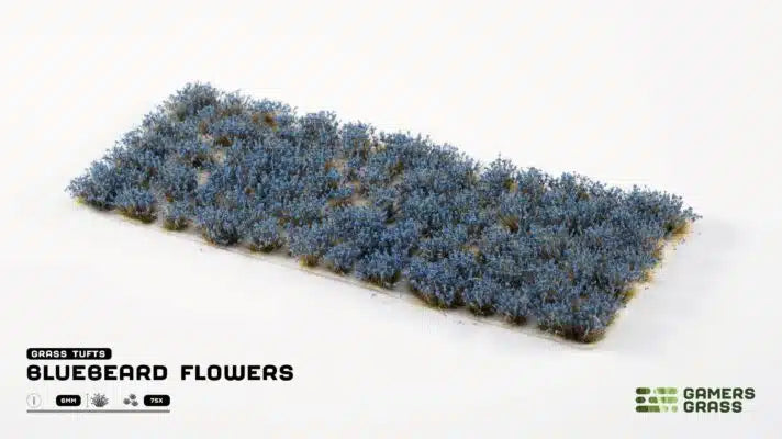 Bluebeard Flowers
