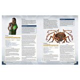 Stonewalkers Adventure by Brotherwise Games