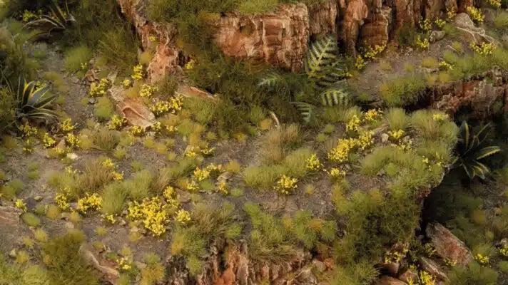 Dandelion Tiny Flowers