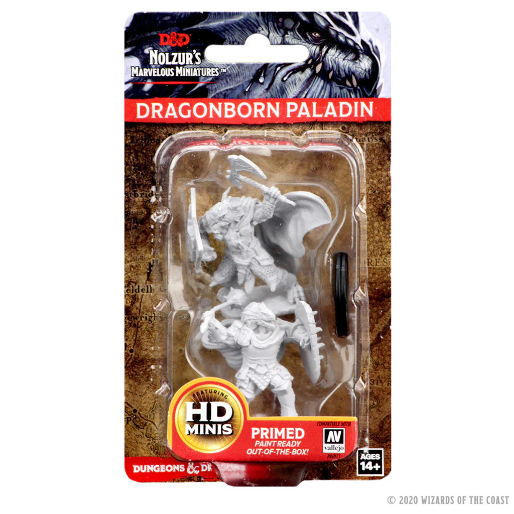 Nolzur's Marvelous Miniatures: Dragonborn Paladin Male