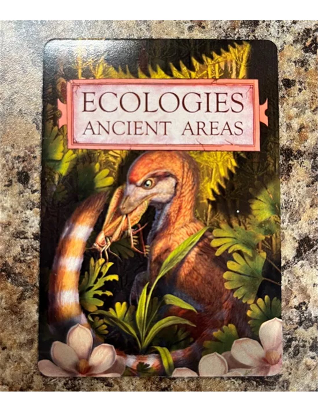 Ecologies: Ancient Areas