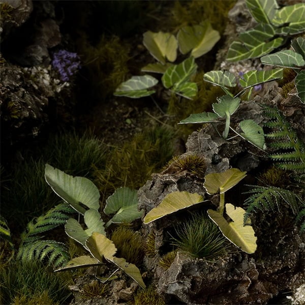 Gamers Grass Laser Plants - Elephant Ear