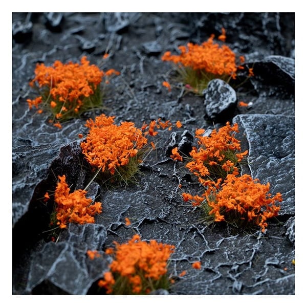 Gamers Grass Orange Flowers - Wild