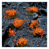 Gamers Grass Orange Flowers - Wild
