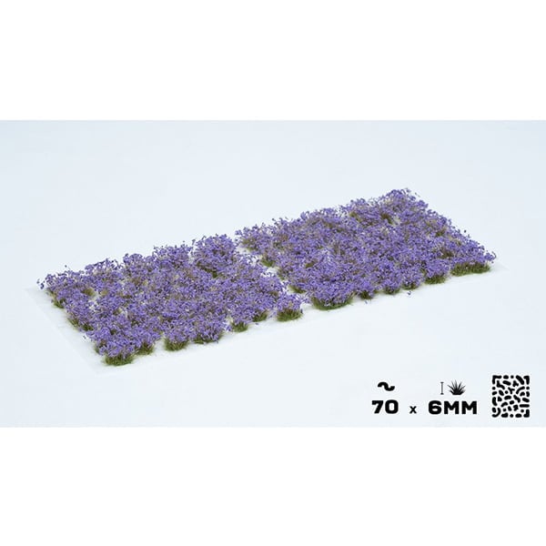 Gamers Grass Violet Flowers - Wild