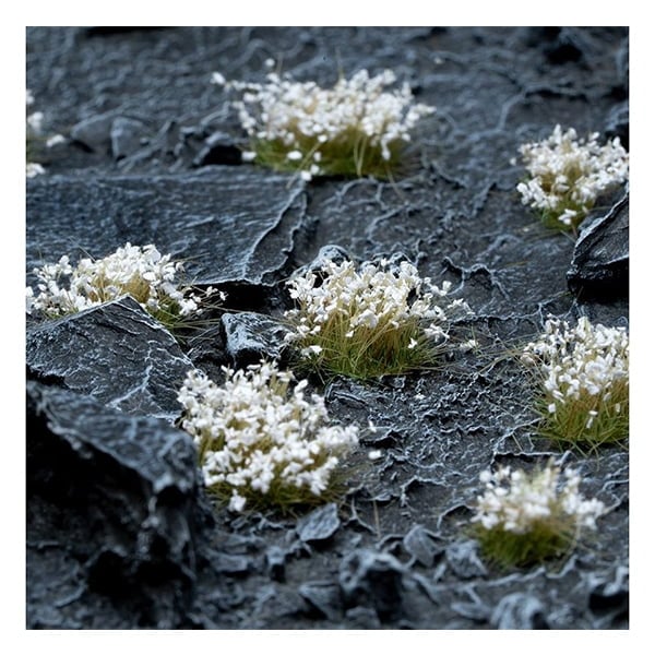 Gamers Grass White Flowers - Wild