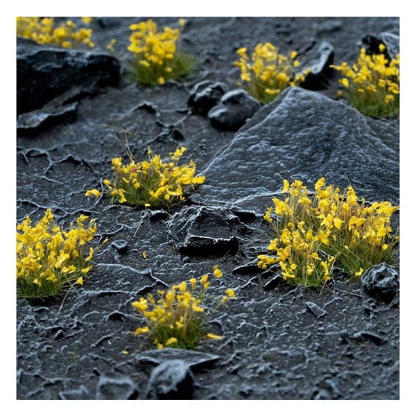 Gamers Grass Yellow Flowers - Wild