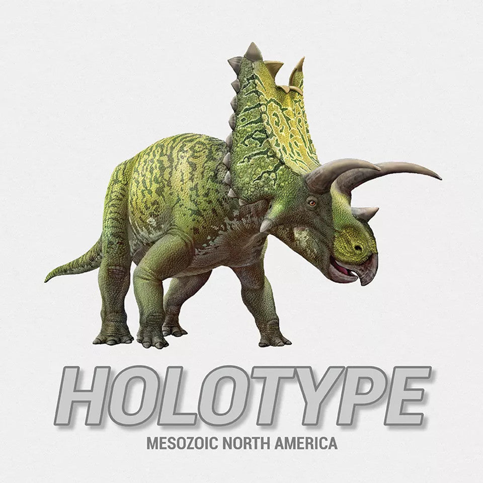 Holotype Base Game