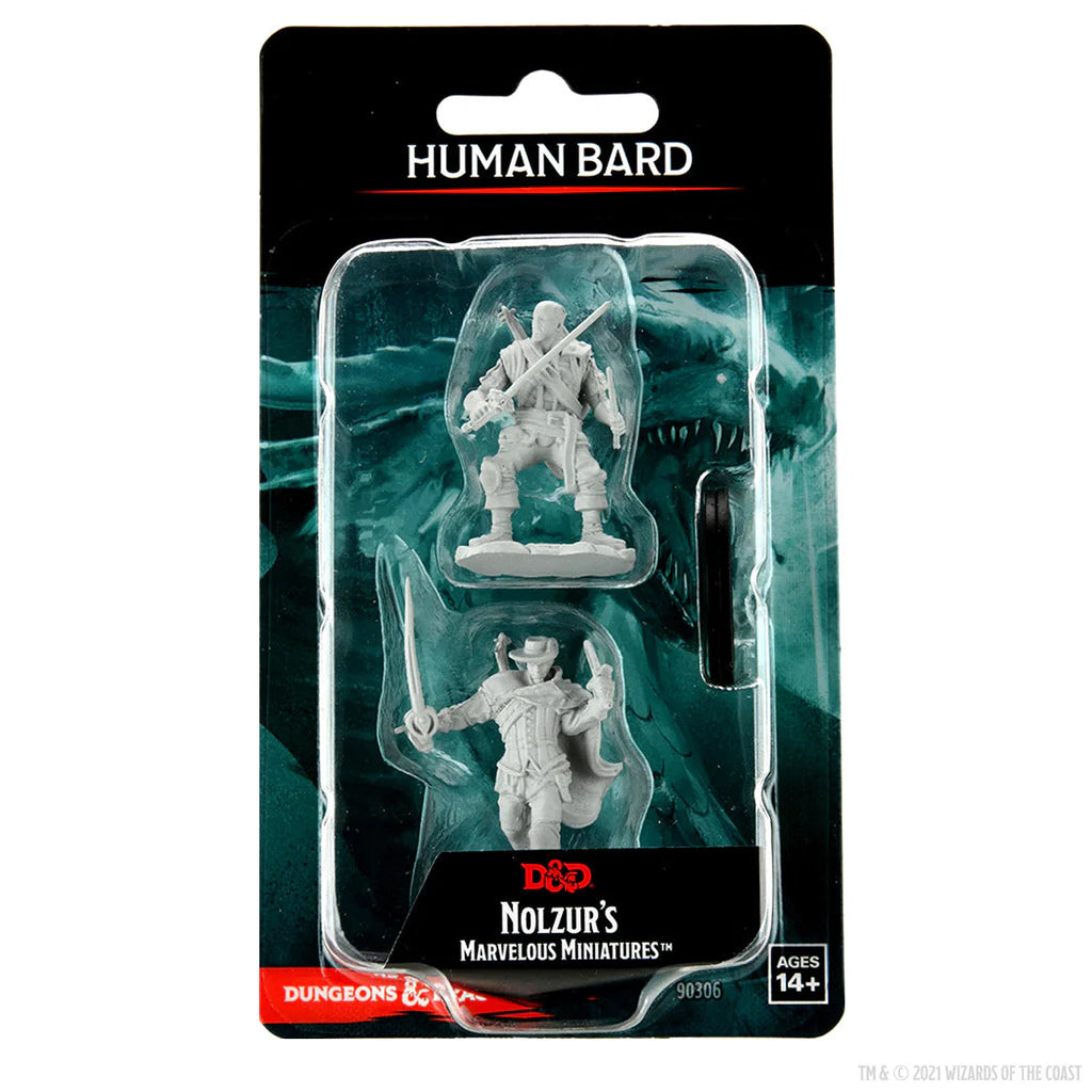 Nolzur's Marvelous Miniatures: Human Bard Male