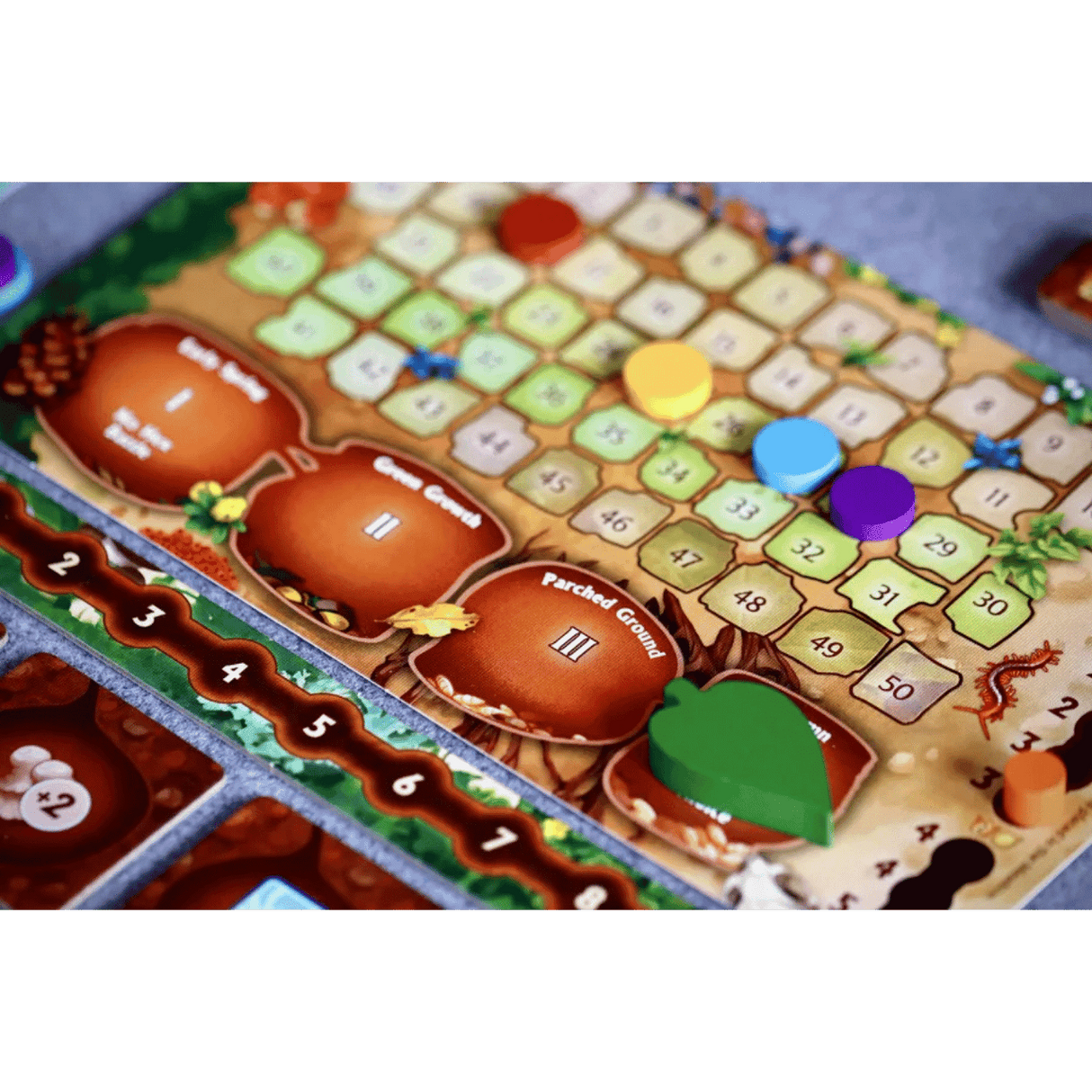 March of the Ants + Expansions