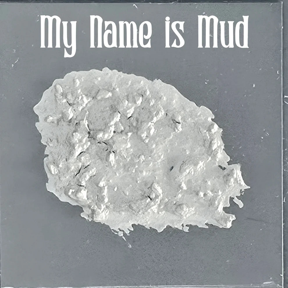 Bear Cavalry My Name is Mud