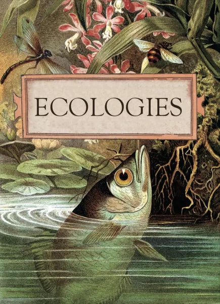 Ecologies: Card Game