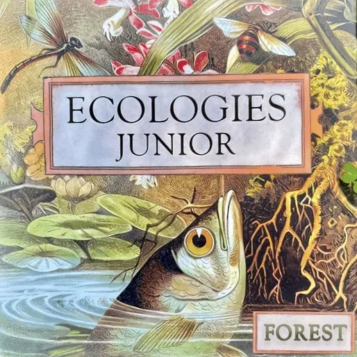 Ecologies Junior: Forest