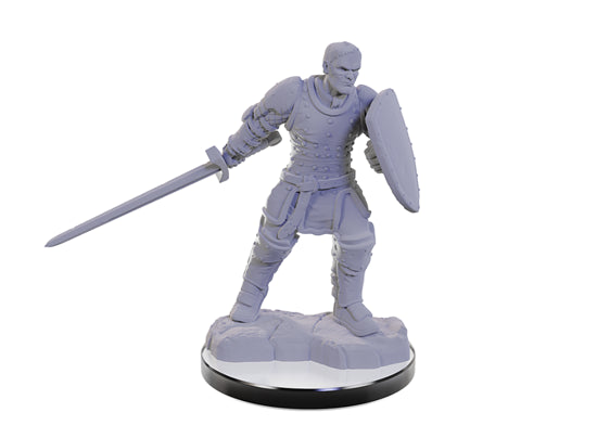Nolzur’s Marvelous Miniatures: Reborn Paladin/Warlock