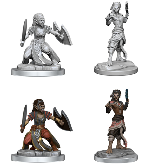 Nolzur’s Marvelous Miniatures: Shifter Fighter
