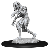 Pathfinder Deep Cuts Miniatures: Annis Hag & Green Hag