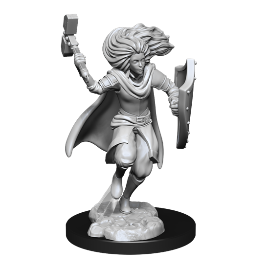 Nolzur’s Marvelous Miniatures: CHANGELING CLERIC MALE