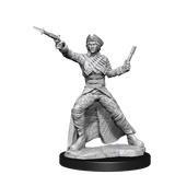Nolzur’s Marvelous Miniatures: Bounty Hunter & Outlaw
