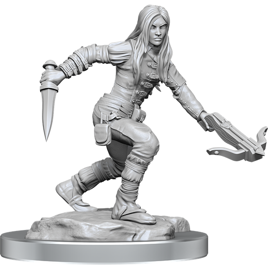 Nolzur’s Marvelous Miniatures: Half-Elf Rogue Female