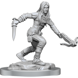 Nolzur’s Marvelous Miniatures: Half-Elf Rogue Female