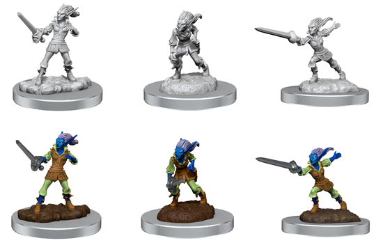 Nolzur’s Marvelous Miniatures: Quicklings