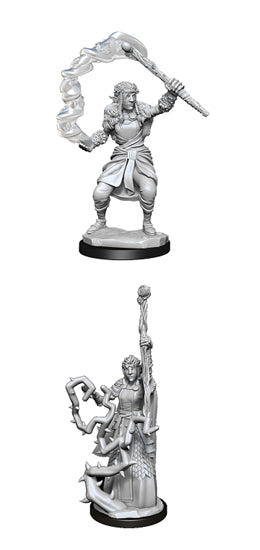Nolzur’s Marvelous Miniatures: Firbolg Female Druid
