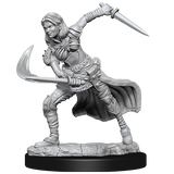 Nolzur’s Marvelous Miniatures: Air Genasi Female