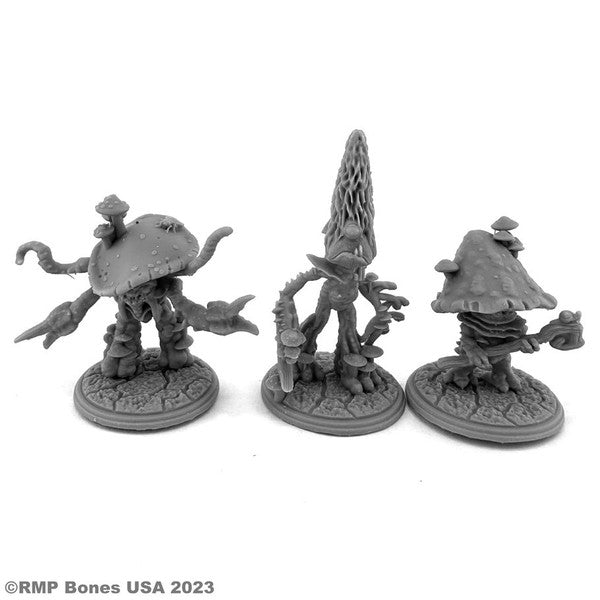 Fungoids (3)