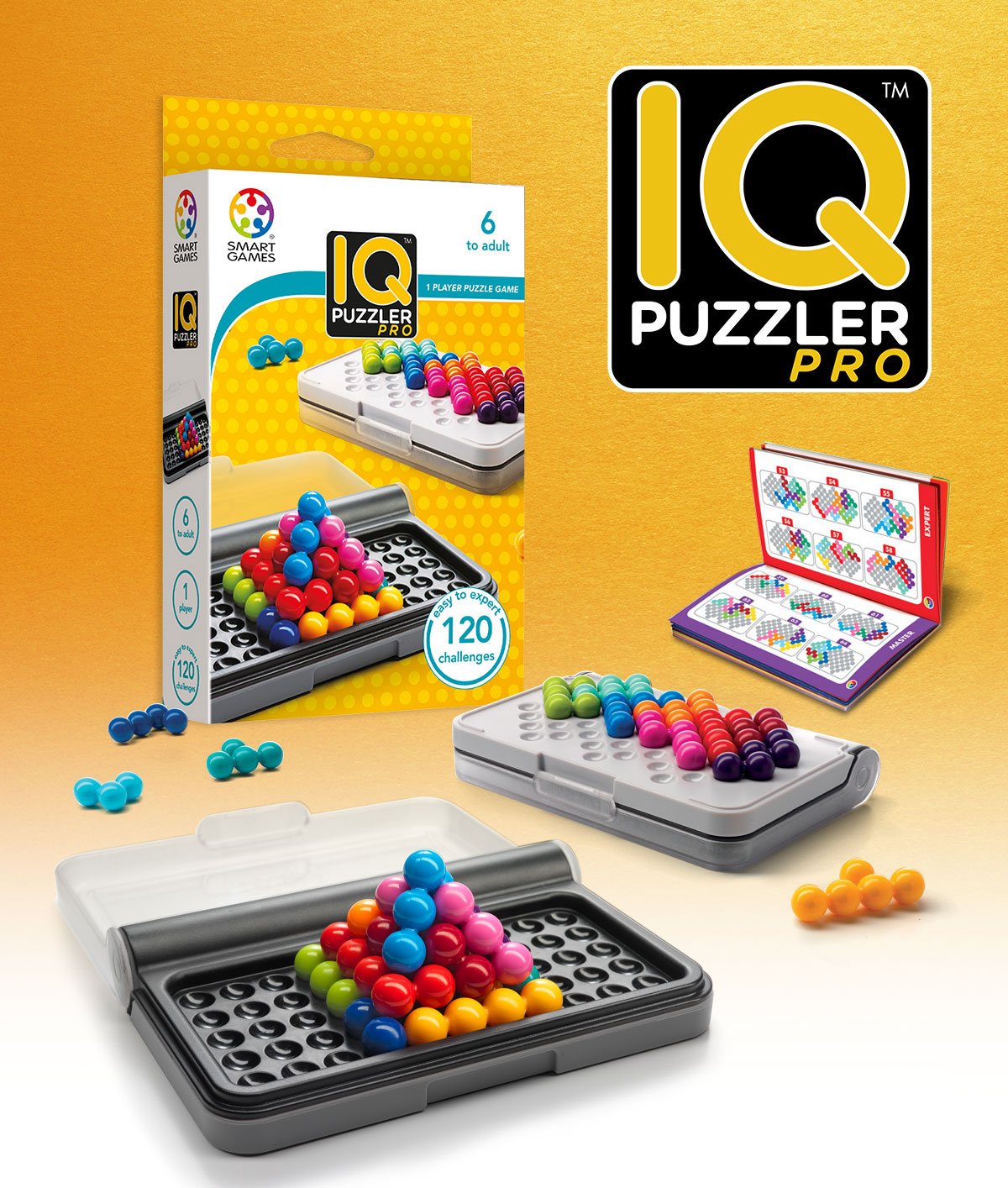 IQ Puzzle Pro